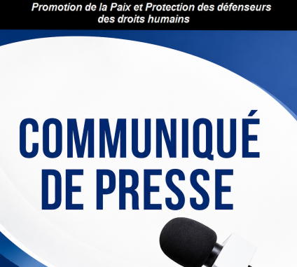 Communiqué de presse du 28 décembre 2023 portant clarification de la différence entre "Programme Panafricain des Investissements" dit PPI-AFRIQUE, et Partenariat pour la Protection Intégrée (PPI)