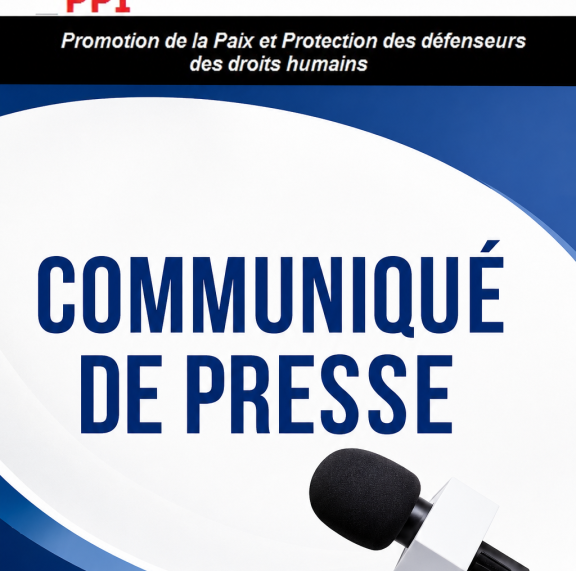 Communiqué de presse du 28 décembre 2023 portant clarification de la différence entre "Programme Panafricain des Investissements" dit PPI-AFRIQUE, et Partenariat pour la Protection Intégrée (PPI)