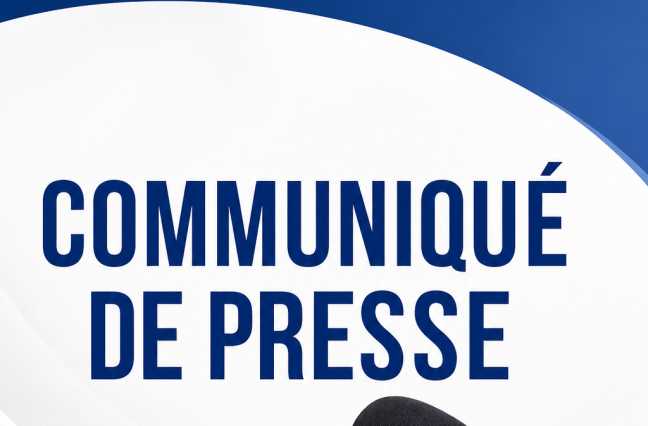 Communiqué de presse du 28 décembre 2023 portant clarification de la différence entre "Programme Panafricain des Investissements" dit PPI-AFRIQUE, et Partenariat pour la Protection Intégrée (PPI)