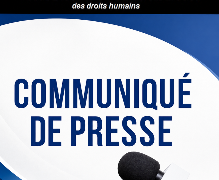 Communiqué de presse du 28 décembre 2023 portant clarification de la différence entre "Programme Panafricain des Investissements" dit PPI-AFRIQUE, et Partenariat pour la Protection Intégrée (PPI)